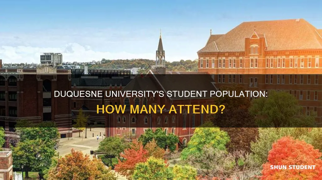 how many students go to duquesne university