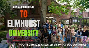 Elmhurst University's Student Population: How Many Attend?