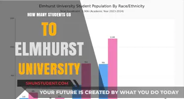Elmhurst University: Student Population and Campus Life