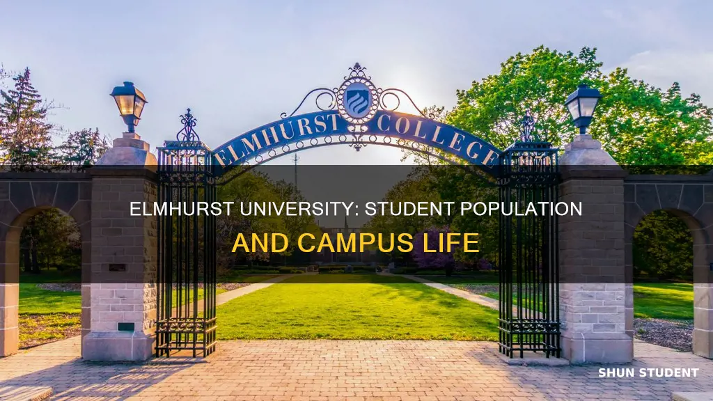 how many students go to elmhurst university