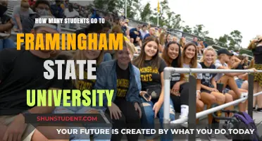 Framingham State University: Student Population Insights