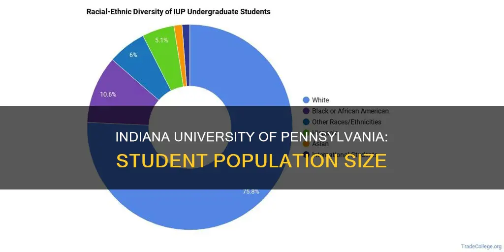 how many students go to indiana university of pennsylvania