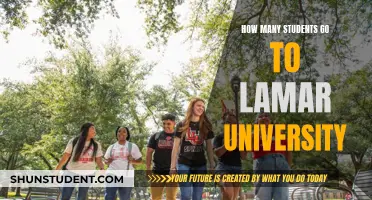 Lamar University's Student Population: A Comprehensive Overview