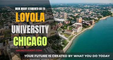 Exploring Enrollment Figures at Loyola University Chicago