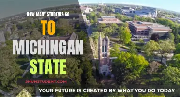 Exploring Enrollment: A Deep Dive into Michigan State's Student Population