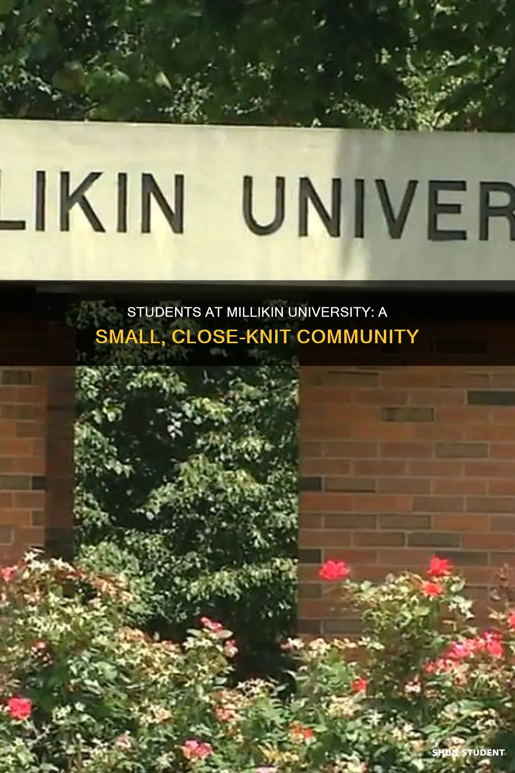 how many students go to millikin university