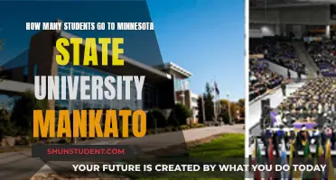 Minnesota State University Mankato: Student Population Insights