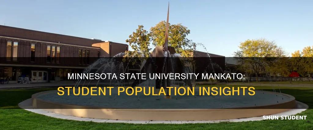 how many students go to minnesota state university mankato