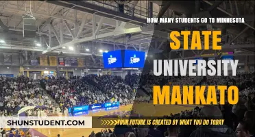 Minnesota State University Mankato: Student Population Insights