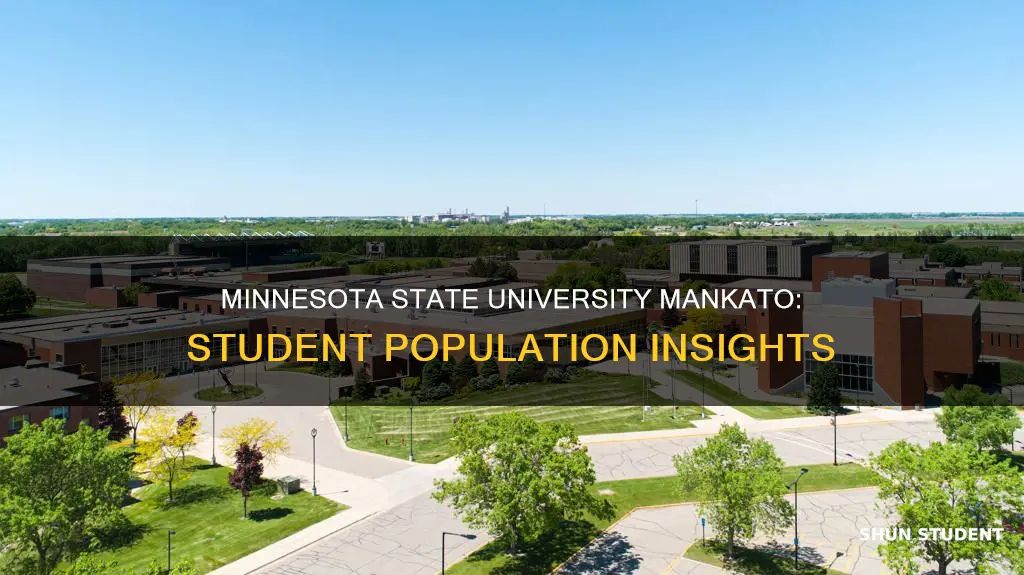 how many students go to minnesota state university mankato