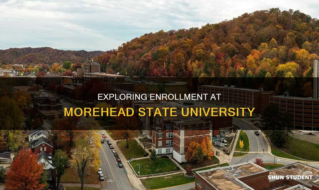 how many students go to morehead state university