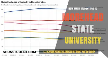 Exploring Morehead State University's Student Population