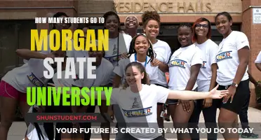 Morgan State University's Student Population: An Overview