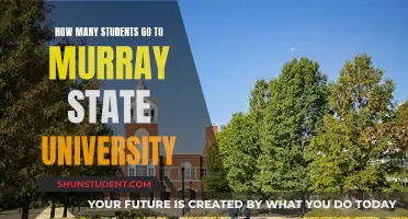 Murray State University: Enrollment Figures and Trends