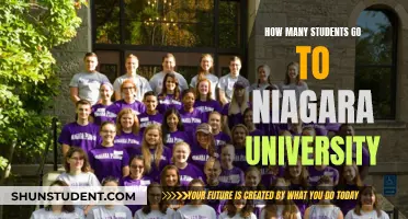 Exploring Student Population at Niagara University