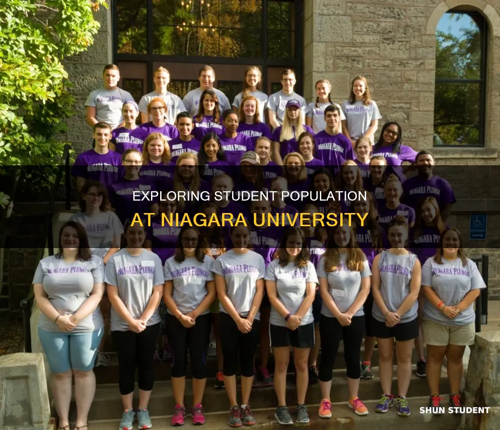 how many students go to niagara university