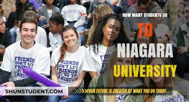 Exploring Niagara University's Student Population