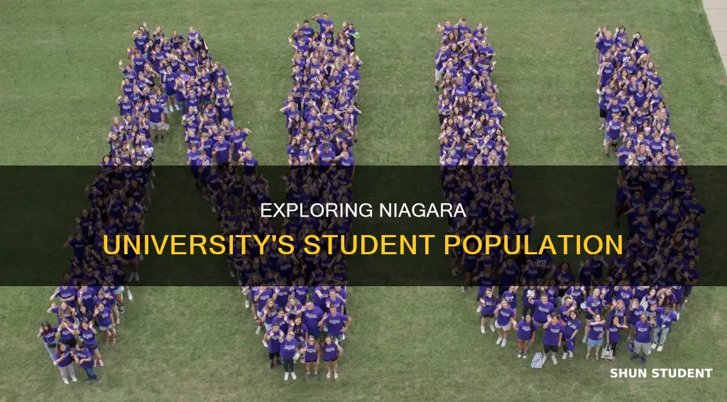 how many students go to niagara university