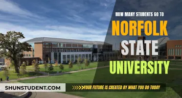 Exploring Norfolk State University's Student Population