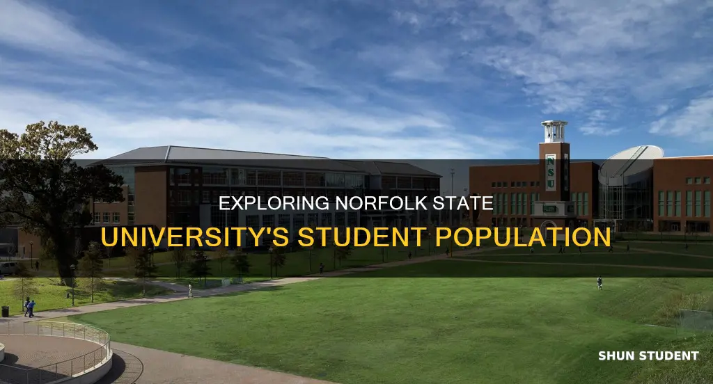 how many students go to norfolk state university