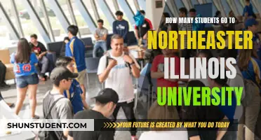 Exploring Northeastern Illinois University's Student Population