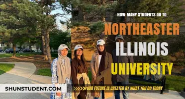 Exploring Northeastern Illinois University's Student Population