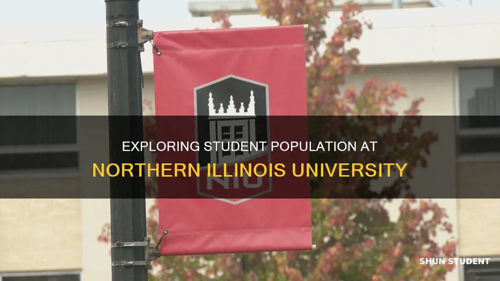 how many students go to northern illinois university
