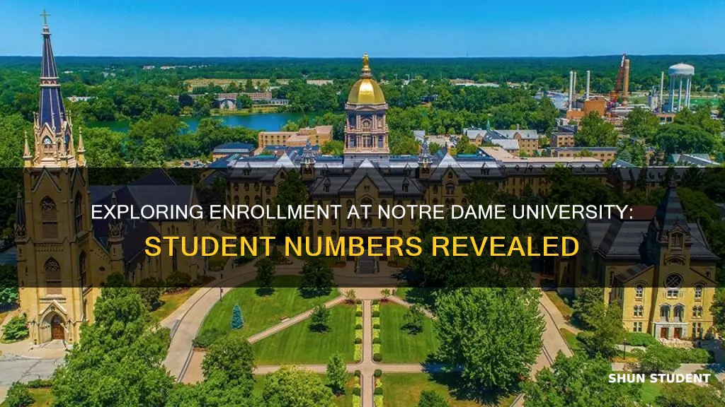 how many students go to notre dame university