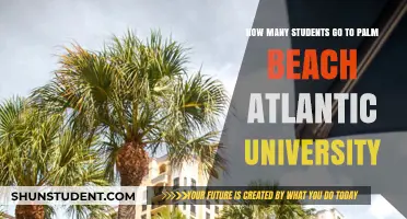 Exploring Student Numbers at Palm Beach Atlantic University