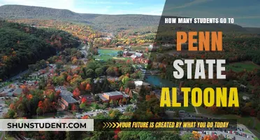 Exploring Penn State Altoona: A Look at Student Enrollment