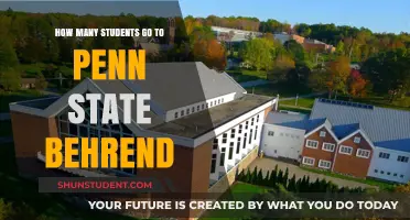 Exploring Penn State Behrend: A Look at Student Enrollment Trends