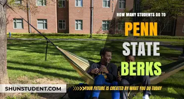 Exploring Enrollment: A Deep Dive into Penn State Berks' Student Population