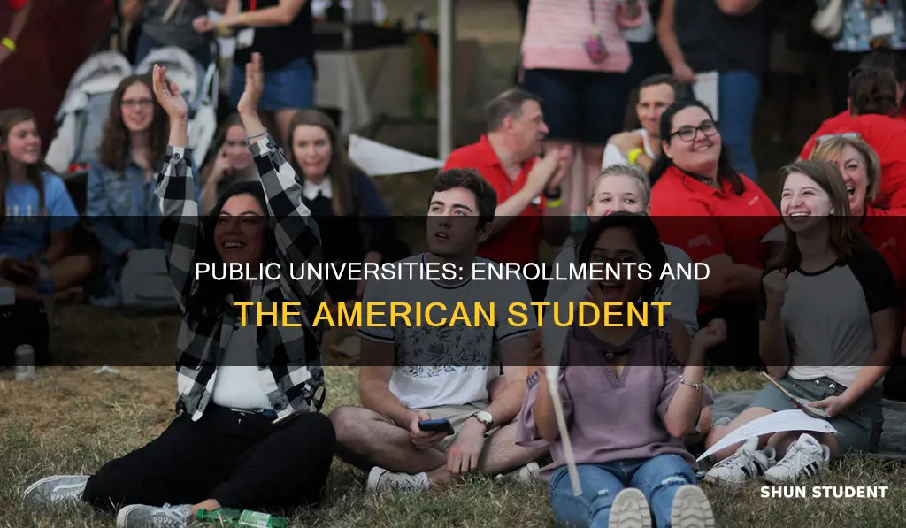 how many students go to public universities in us