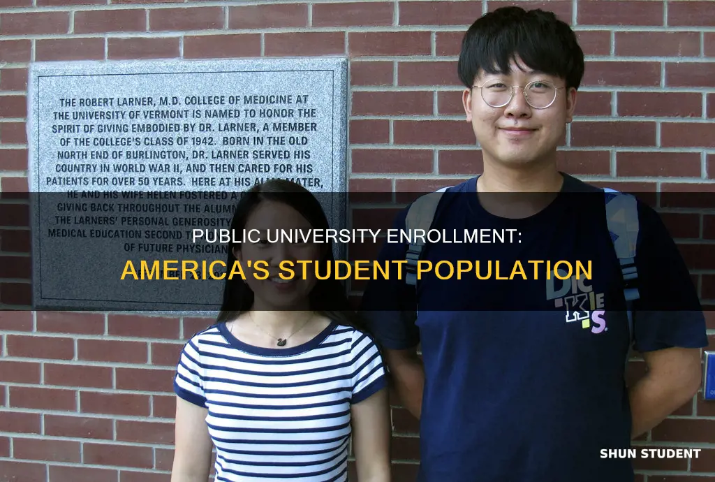 how many students go to public universities in us