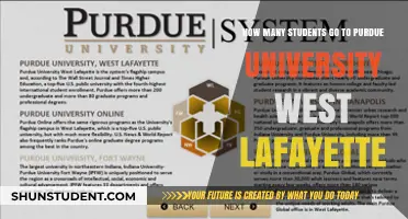 Purdue University West Lafayette: Student Population Insights