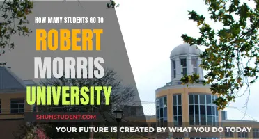 Robert Morris University: Enrollment Figures and Trends