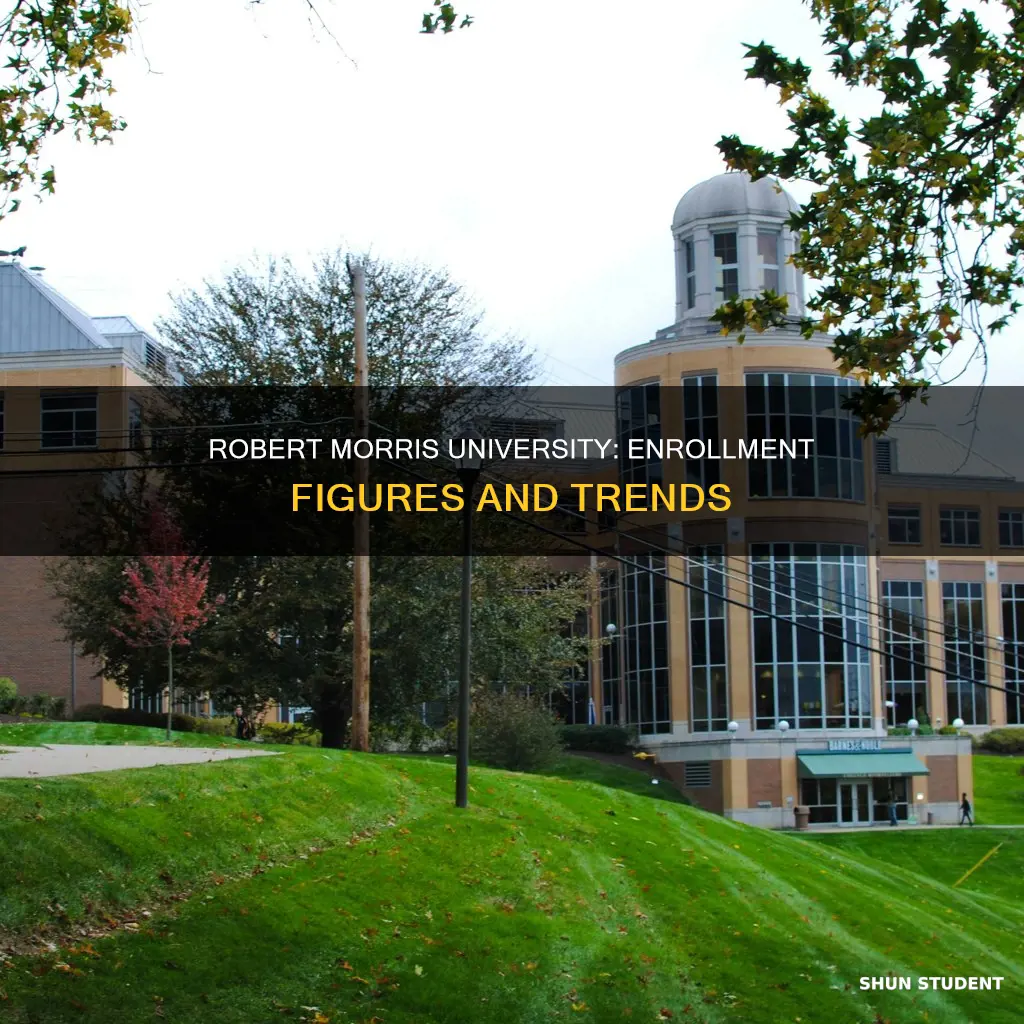 how many students go to robert morris university