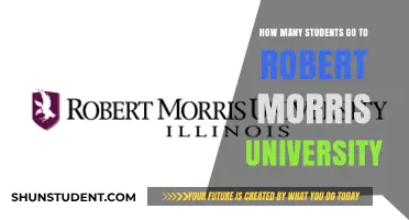 Robert Morris University: Student Population Insights