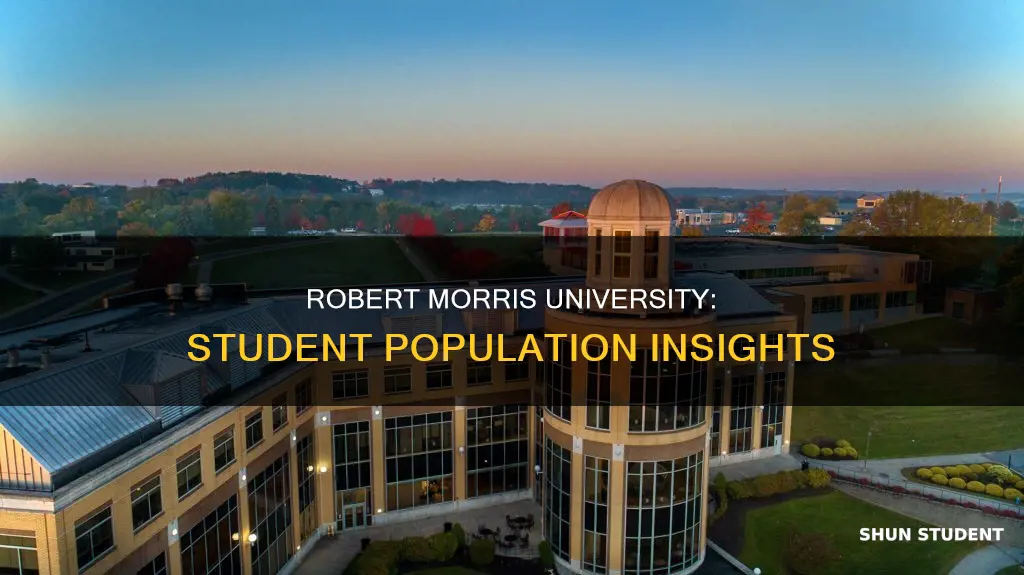 how many students go to robert morris university