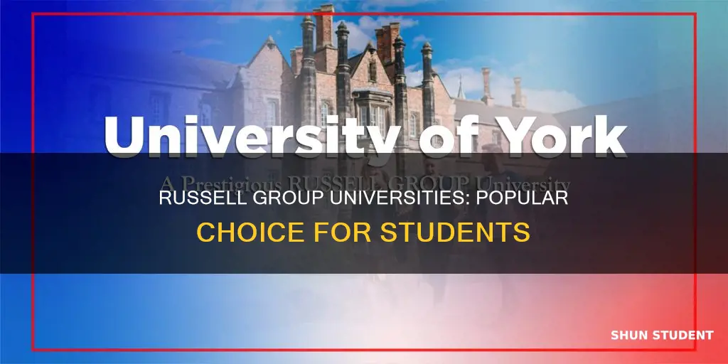 how many students go to russell group universities