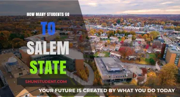 Exploring Enrollment: A Deep Dive into Salem State's Student Population