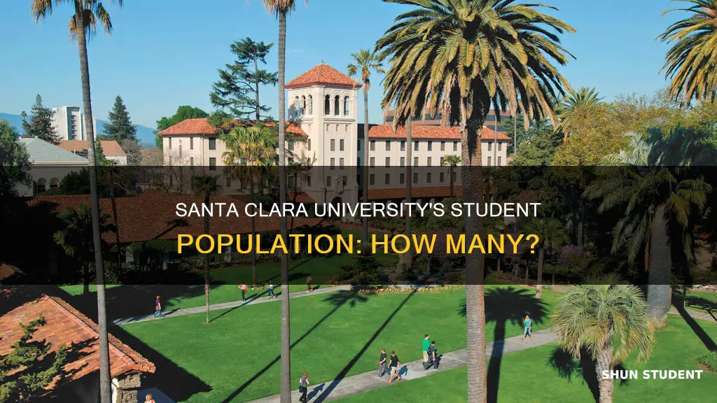 how many students go to santa clara university