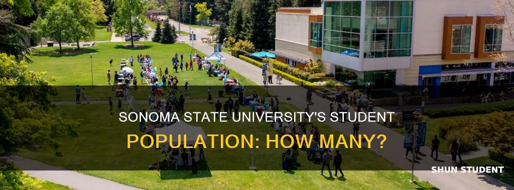 how many students go to sonoma state university