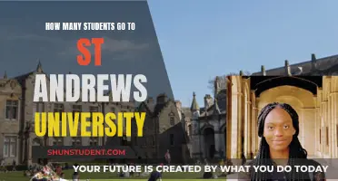 St Andrews University: A Destination for Ambitious Students