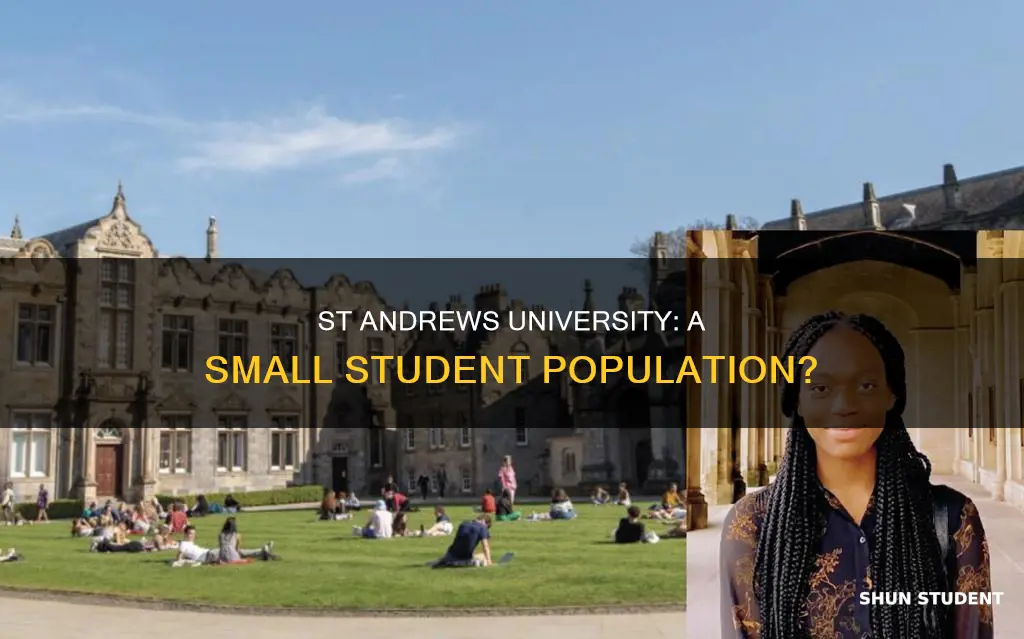 how many students go to st andrews university