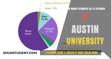 Attendee Numbers at Stephen F. Austin University