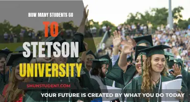 Stetson University: A Small Student Body, Big Opportunities