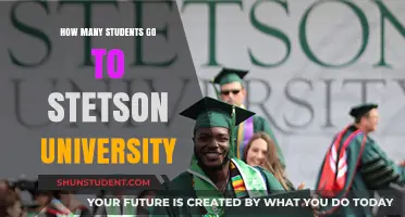 Stetson University: A Small Student Body, Big Opportunities