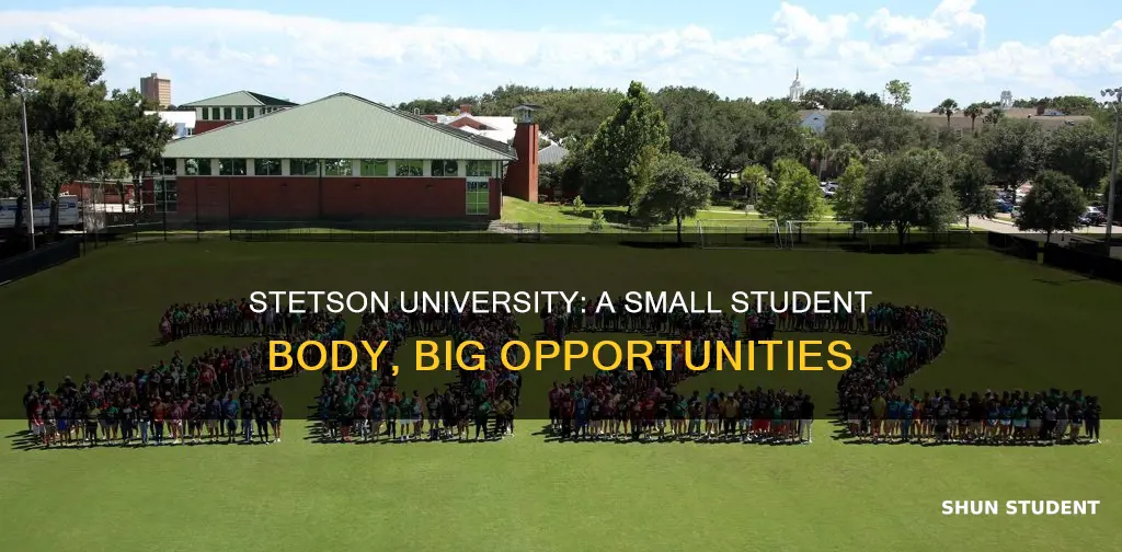 how many students go to stetson university