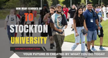 Stockton University: Student Population Insights